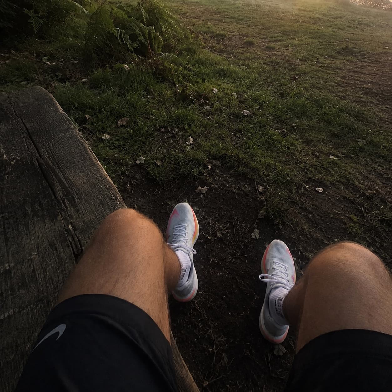 A runner in trainers resting at the edge of a misty field at dawn